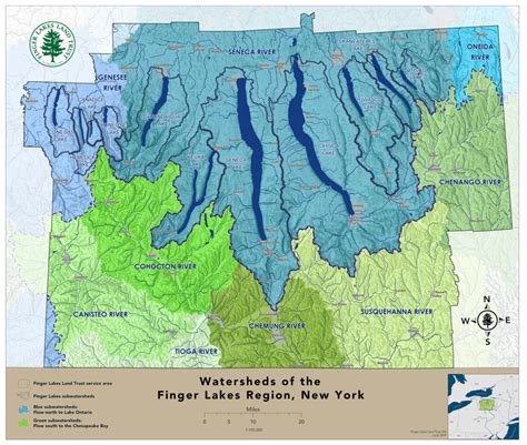 finger lakes ranked by size|finger lakes depth.